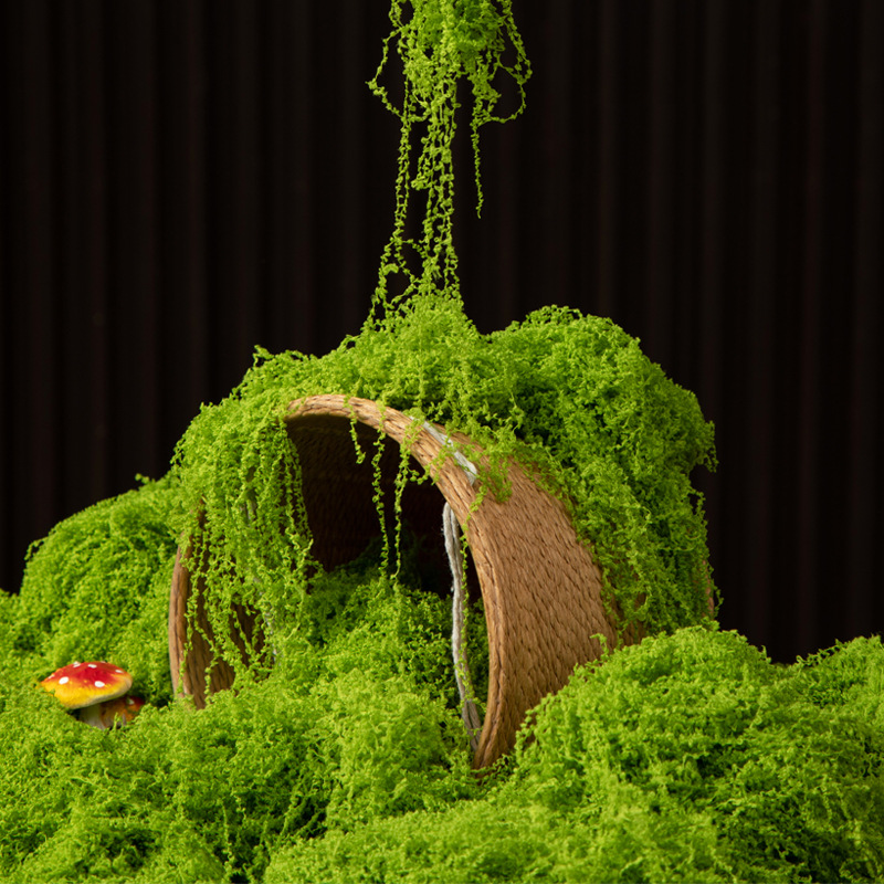Landscape Bonsai Garden - 200G Rumput Lumut Kehidupan Abadi DIY