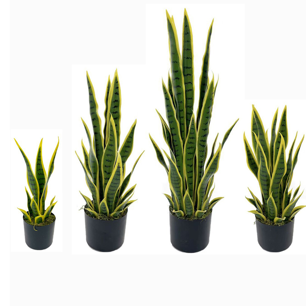 Bonsai Garden Kit - Tanaman Sansevieria Buatan 40-100cm dengan Pot