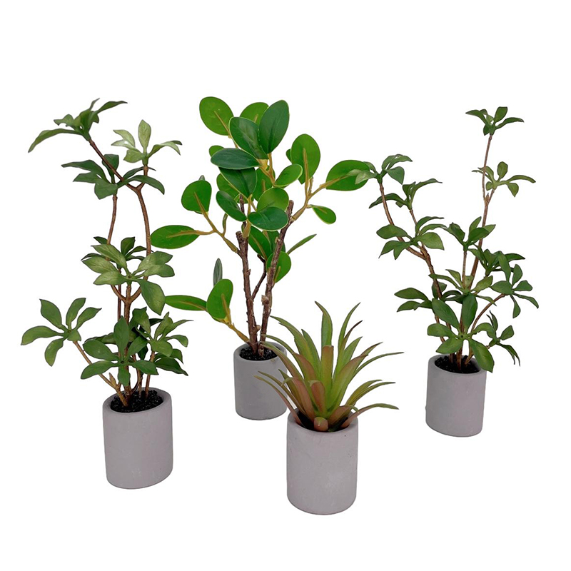 Bonsai Garden Kit - 1:6 miniatur rumah boneka Pot tanaman