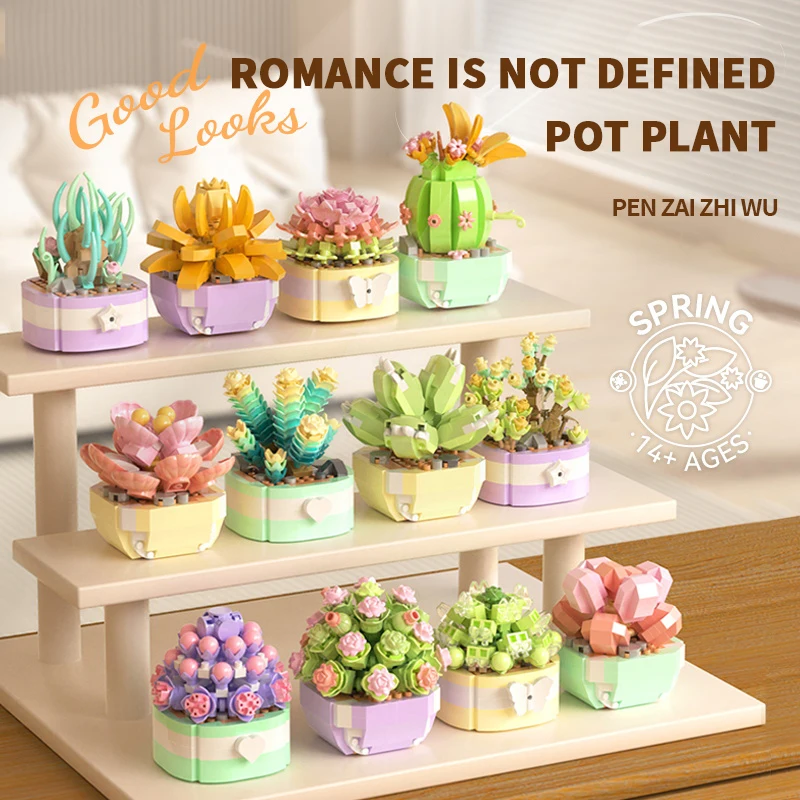 Blok bangunan bunga sukulen bu - Bonsai Garden Kit ulasan dan harga