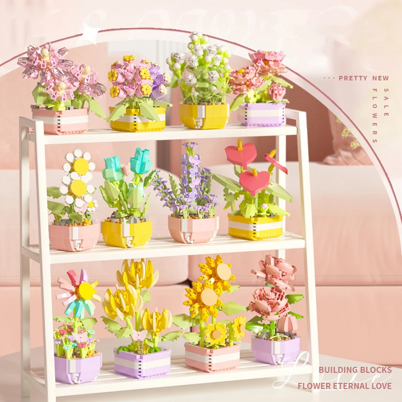 Blok bangunan bunga sukulen bu - Bonsai Garden Kit ulasan dan harga