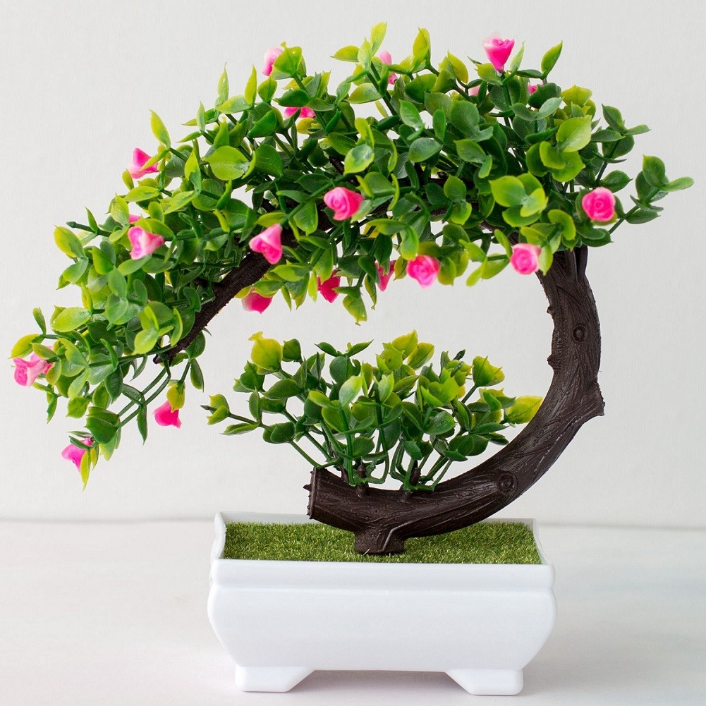 Dekorasi Pohon Tanaman Pot Bua - Bonsai Garden China ulasan dan harga