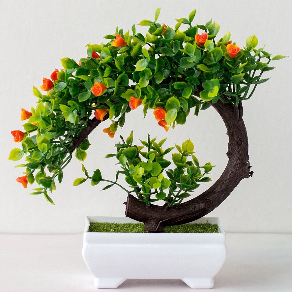 Dekorasi Pohon Tanaman Pot Bua - Bonsai Garden China ulasan dan harga