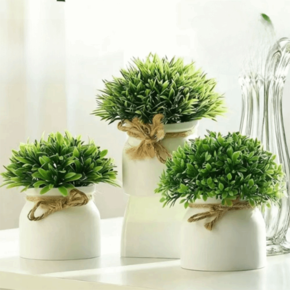 dengan Pot Tanaman Artifisial  - Bonsai Garden Kit ulasan dan harga