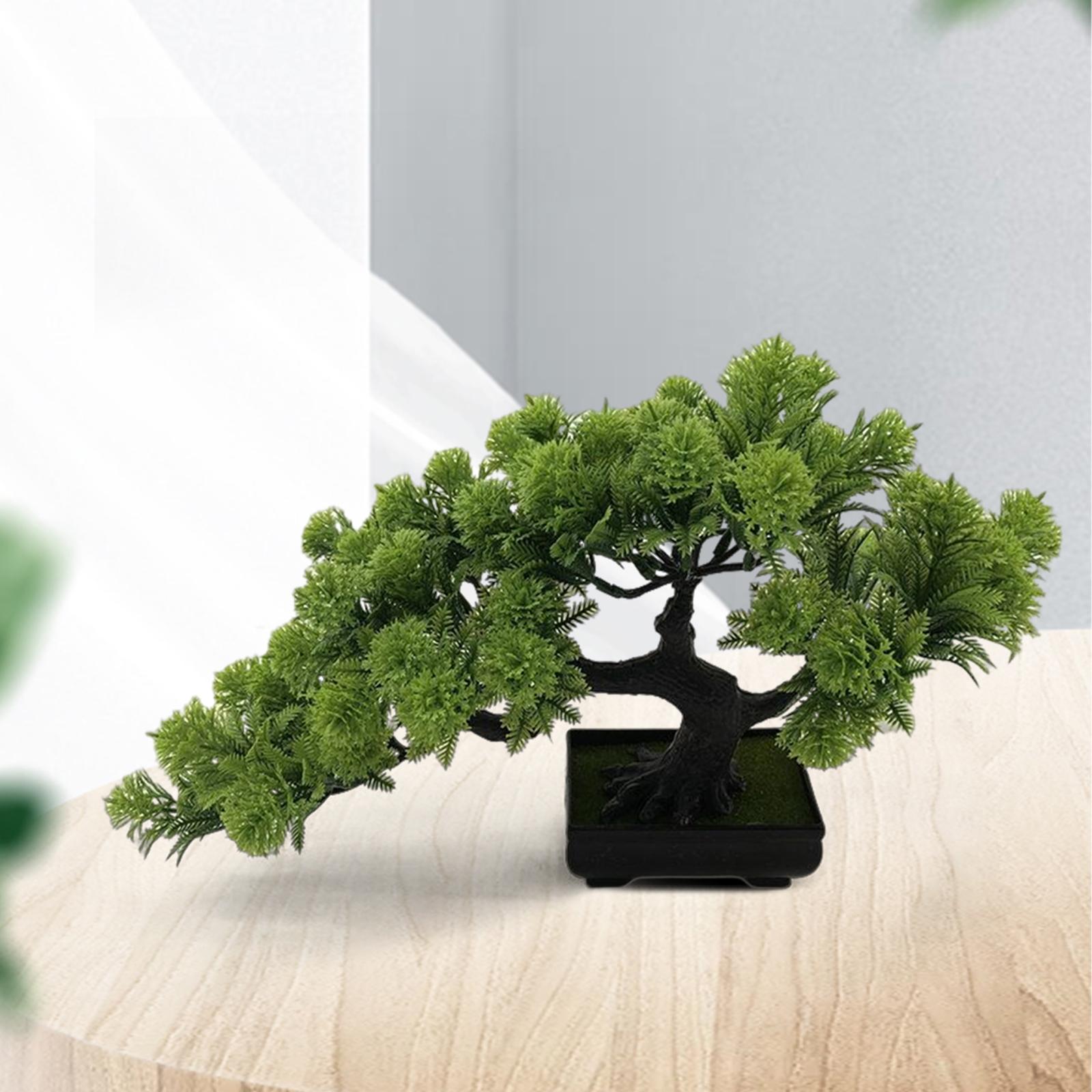 Pohon Pajangan Desktop Pot Sim - Bonsai Repotting Mat ulasan dan harga