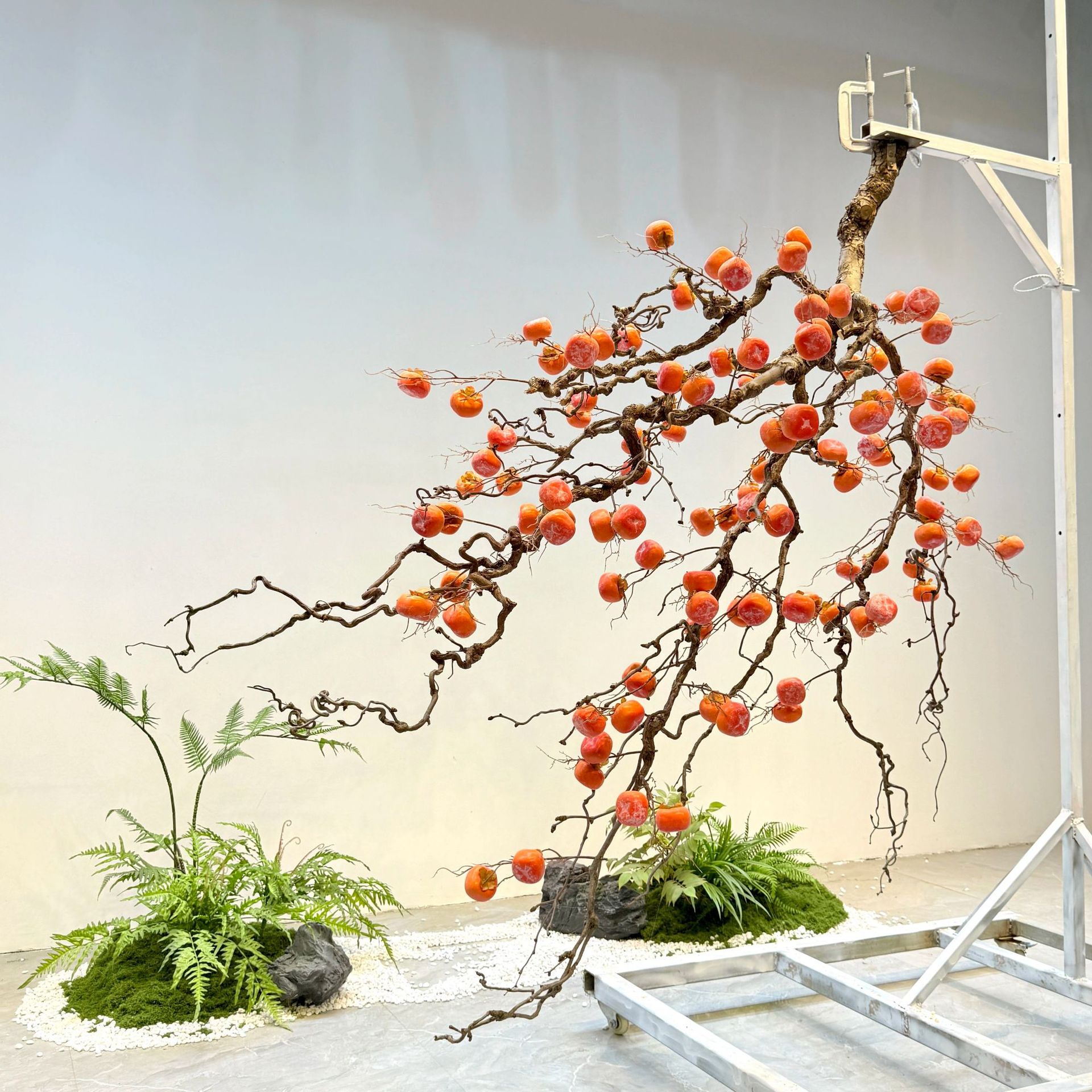 Pohon kesemek simulasi dengan  - Bonsai Garden Wall ulasan dan harga