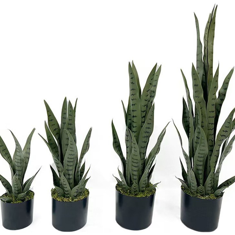 Tanaman Sansevieria Buatan 40- - Bonsai Garden Kit ulasan dan harga