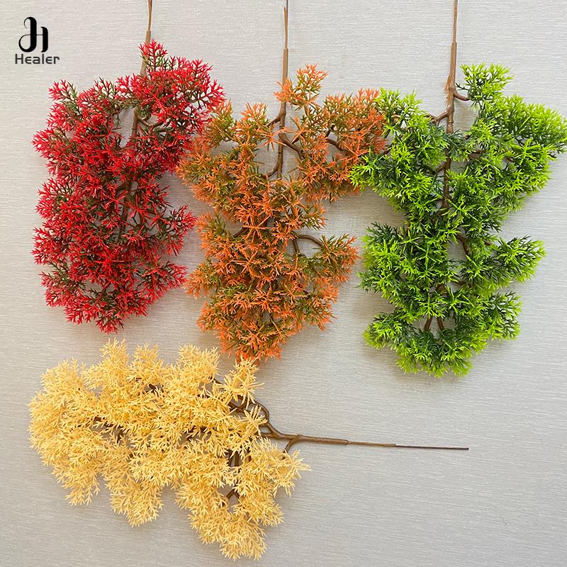 Diskon Besar 1 Buah Plastik Po - Bonsai Garden For Sale ulasan dan harga
