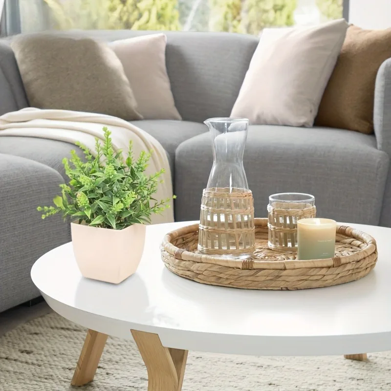 Tanaman pot hijau Bonsai buata - Bonsai Garden Kit ulasan dan harga