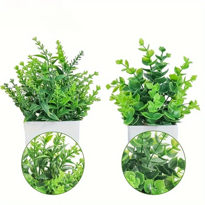 Tanaman pot hijau Bonsai buata - Bonsai Garden Kit ulasan dan harga