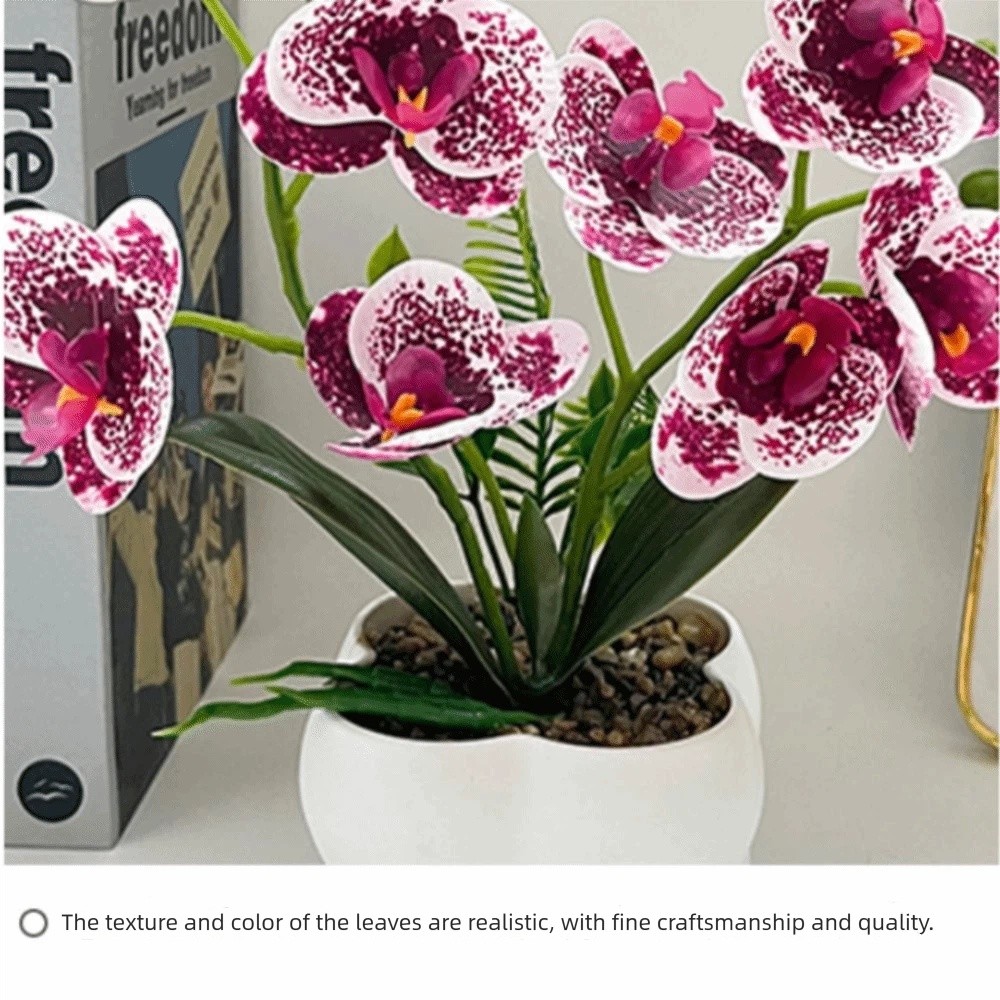 Anggrek Kupu-kupu Simulasi Mul - Bonsai Garden Kit ulasan dan harga