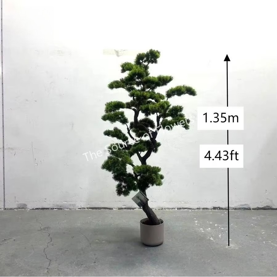 Pohon Cedar Pinus Buatan untuk - Landscape Bonsai Garden ulasan dan harga