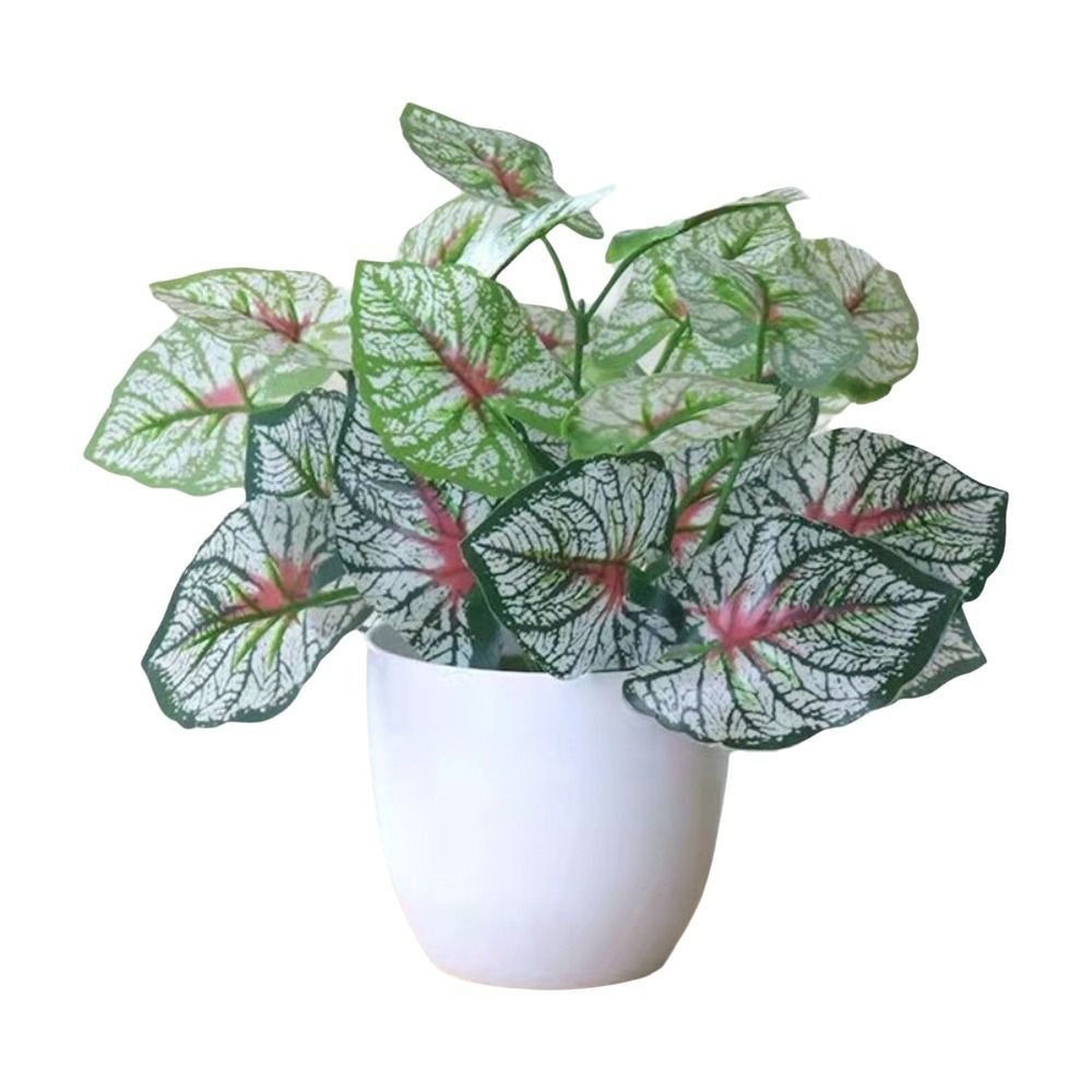Bunga Palsu Mini dalam Pot Bon - Bonsai Repotting Mat ulasan dan harga