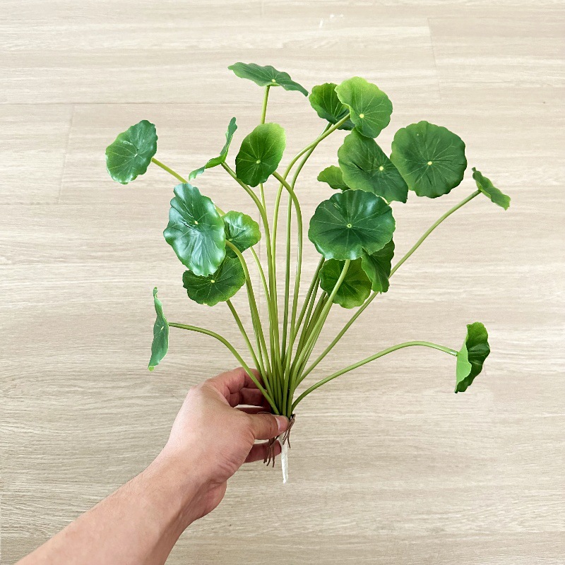 2 Buah Daun Palsu Bonsai Pilea - Bonsai Garden Wall ulasan dan harga