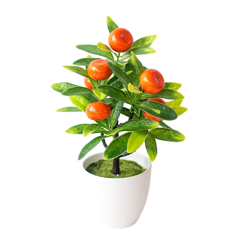 Bonsai Buatan dalam Pot Bunga  - Bonsai Garden China ulasan dan harga